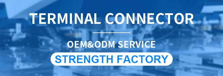 Hardware in acciaio inossidabile parti di stampaggio in rame terminale maschio e femmina