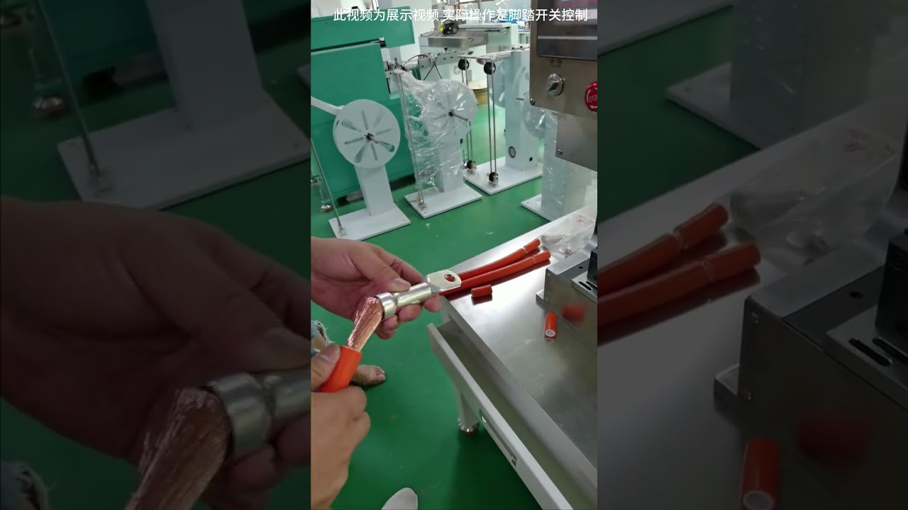 Macchina Terminale Servo 30T per Lavorazione Elettrica | Prova Cliente in Fabbrica