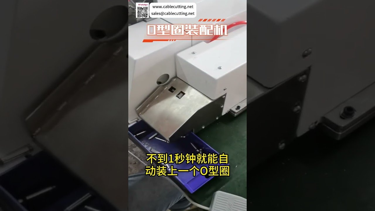 Macchina Intelligente per Assemblaggio O-Ring: Linea di Produzione Automatica ad Alta Efficienza per Guarnizioni di Tenuta