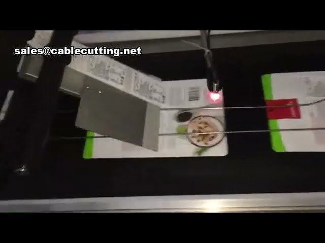 Macchina Etichettatrice Automatica per Sacchetti Piatti e Buste di Plastica | Etichettatrice per Sacchetti Piani
