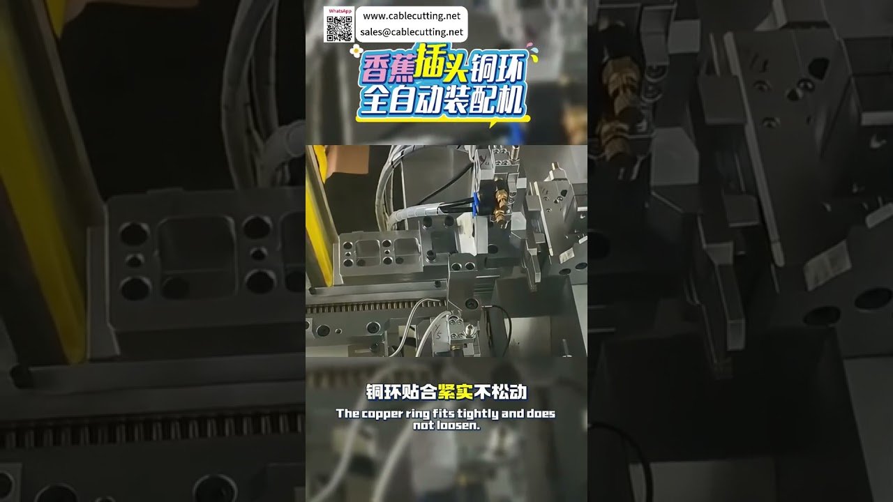Macchina Automatica per Assemblaggio Anelli in Rame su Spine Banana – Alta Efficienza Industriale