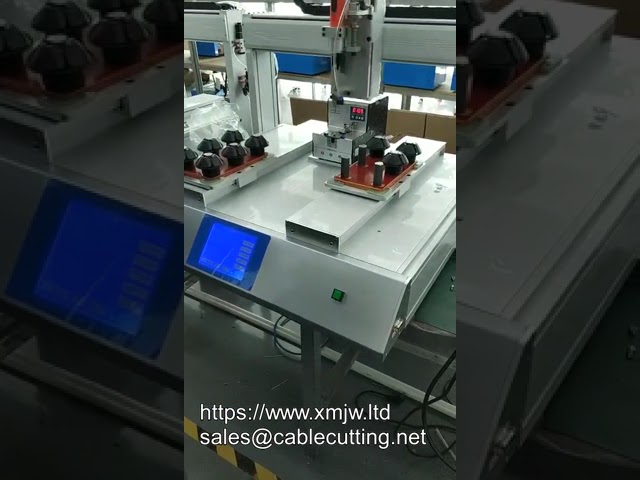 Avvitatore Elettrico con Alimentatore Automatico di Viti: Massima Efficienza per la Tua Fabbrica