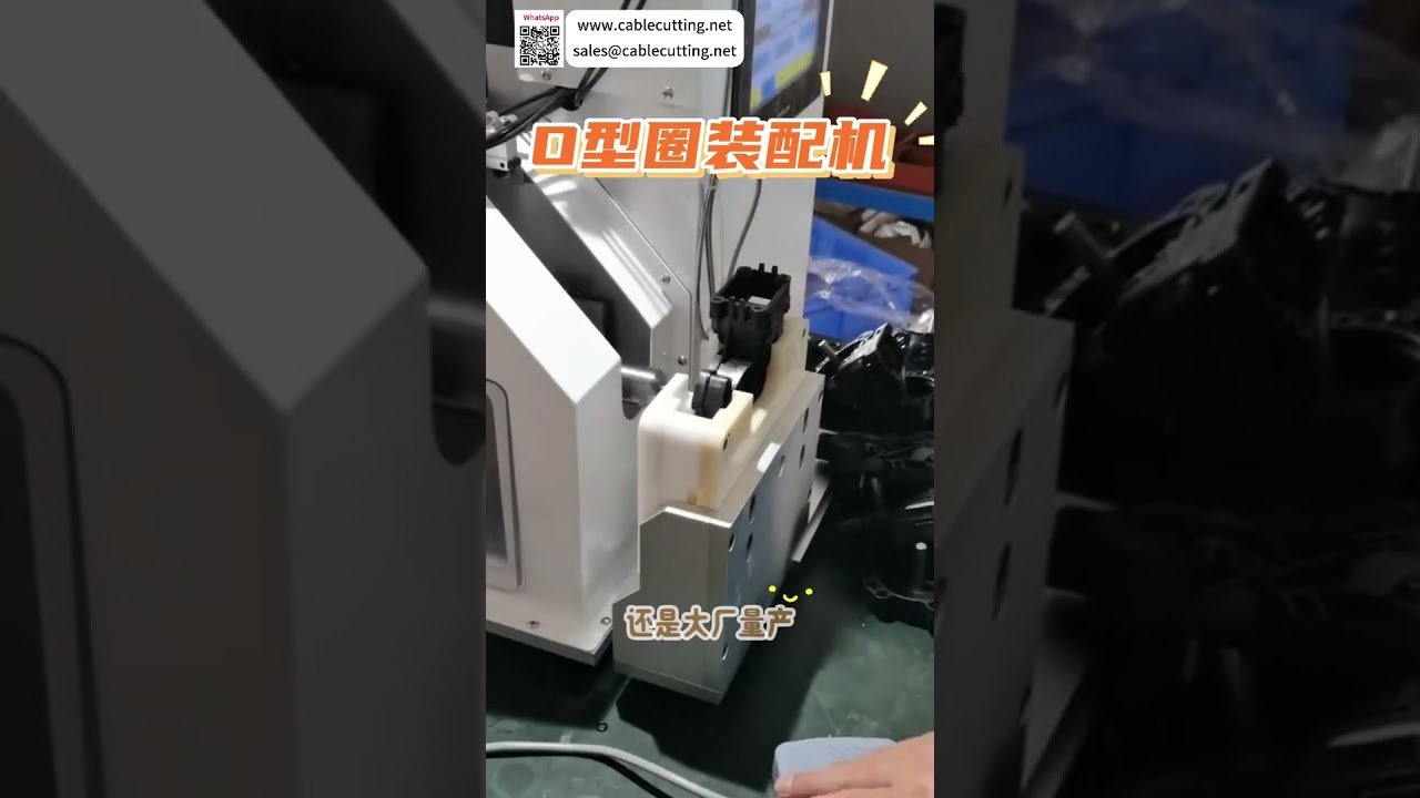 Macchina per Assemblaggio O-Ring di Alta Qualità - Produzione Automatica Personalizzata di Guarnizioni