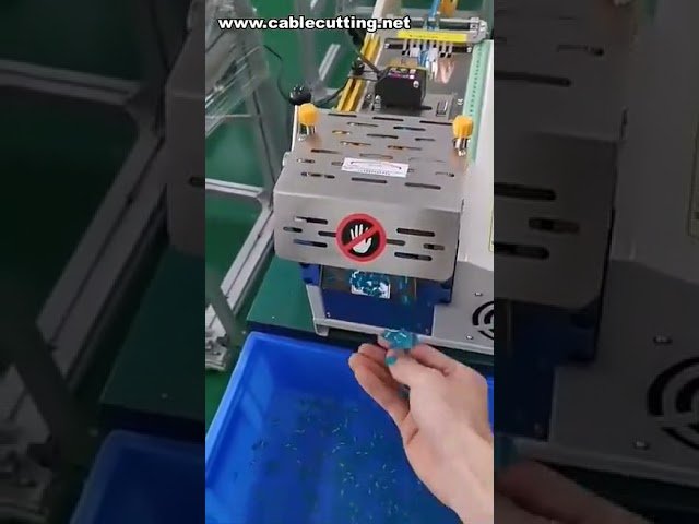 Macchina Tagliaetichette di Carta | Taglierina per Adesivi e Etichette Autoadesive