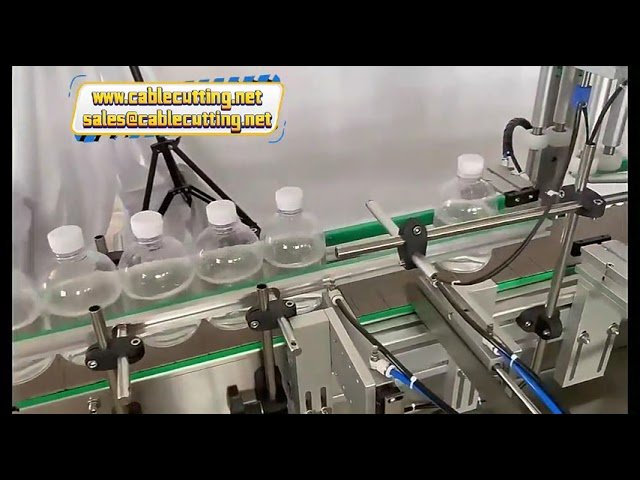 Linea di produzione compatta per riempimento e tappatura bottiglie olio d'oliva e bevande - Macchina da tavolo a 4 teste