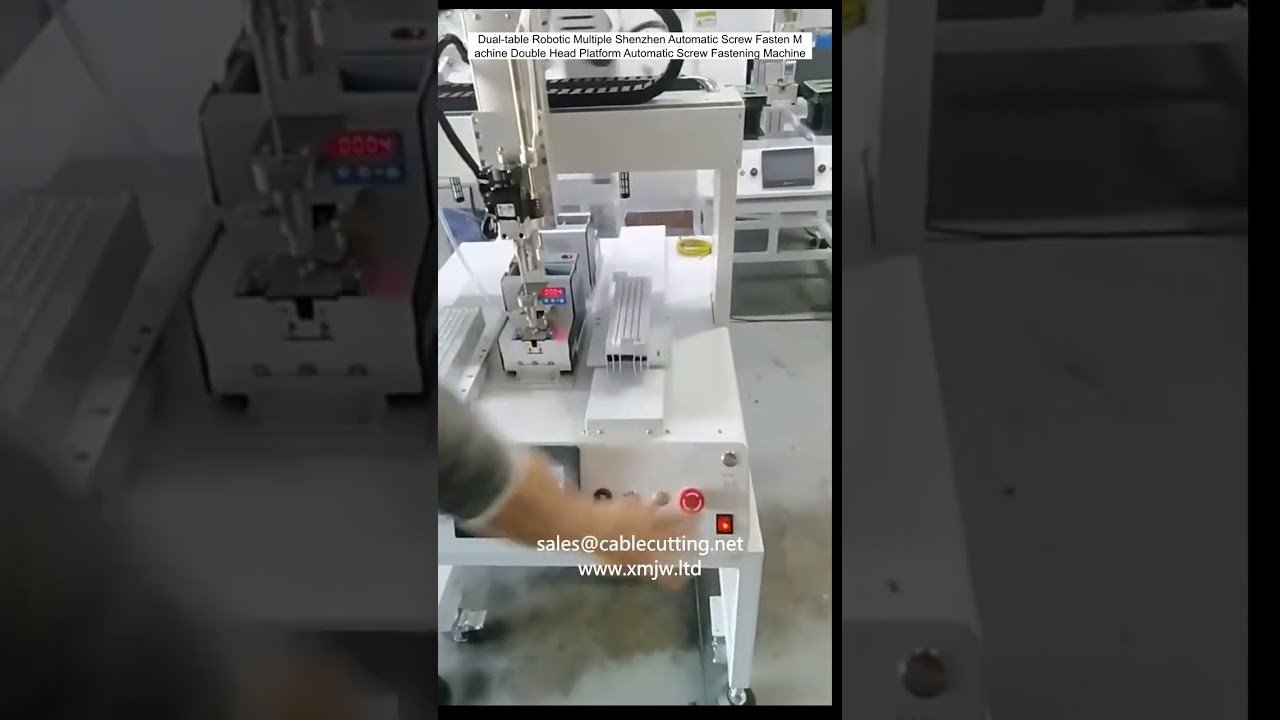 Macchina automatica per avvitare viti con doppio tavolo robotico - Alta precisione e velocità