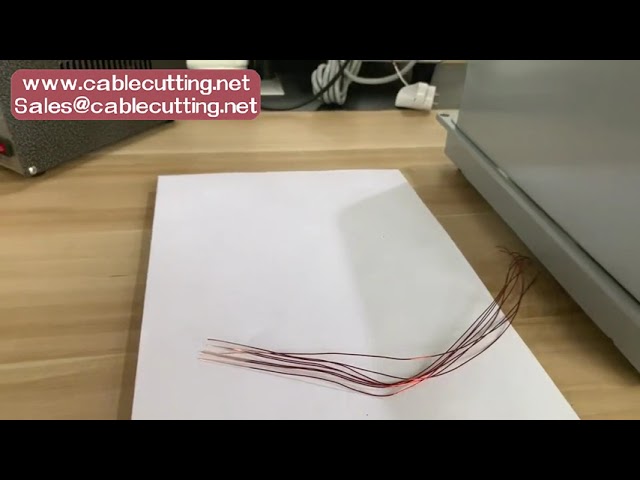 Spellatrice professionale per filo smaltato | Macchina rimuovi smalto per motori e trasformatori