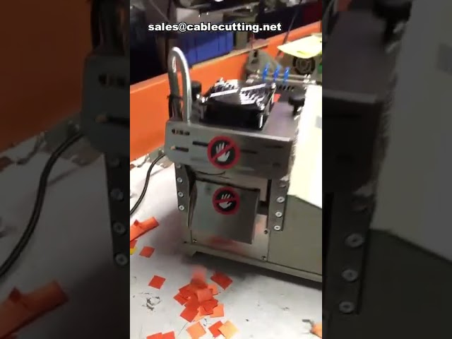 Taglierina per Tessuti e Fustellatrice Etichette Caldo/Freddo - Macchina Industriale