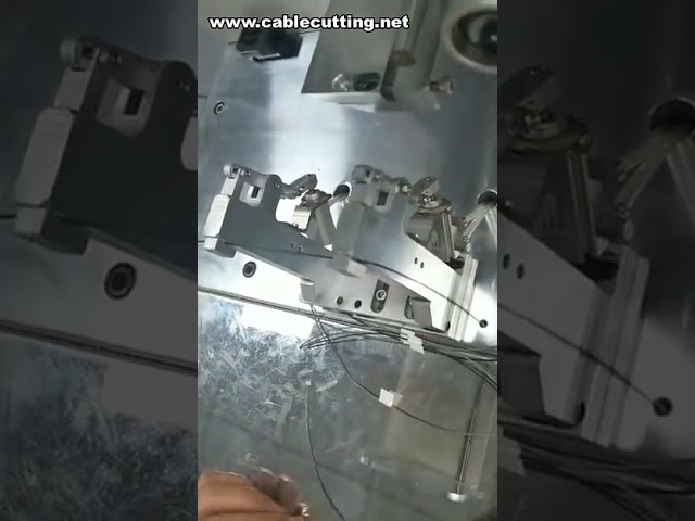 Macchina Etichettatrice per Cavi | Applicatrice Adesivi Auto | Etichettatura a Bandiera Piegata