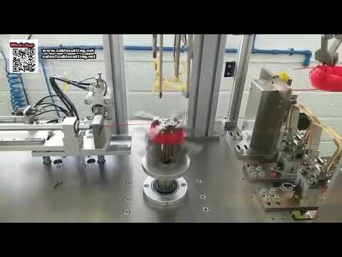 Affidabile Macchina Avvolgitrice e Legatrice Automatica per Linea di Rifinitura Cartellini Sospesi