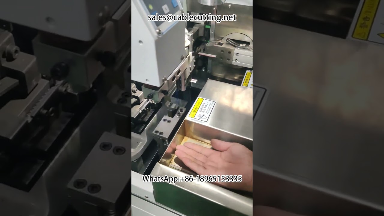 Macchina spellafili automatica a doppia testa | Attrezzatura per cablaggi e automazione industriale