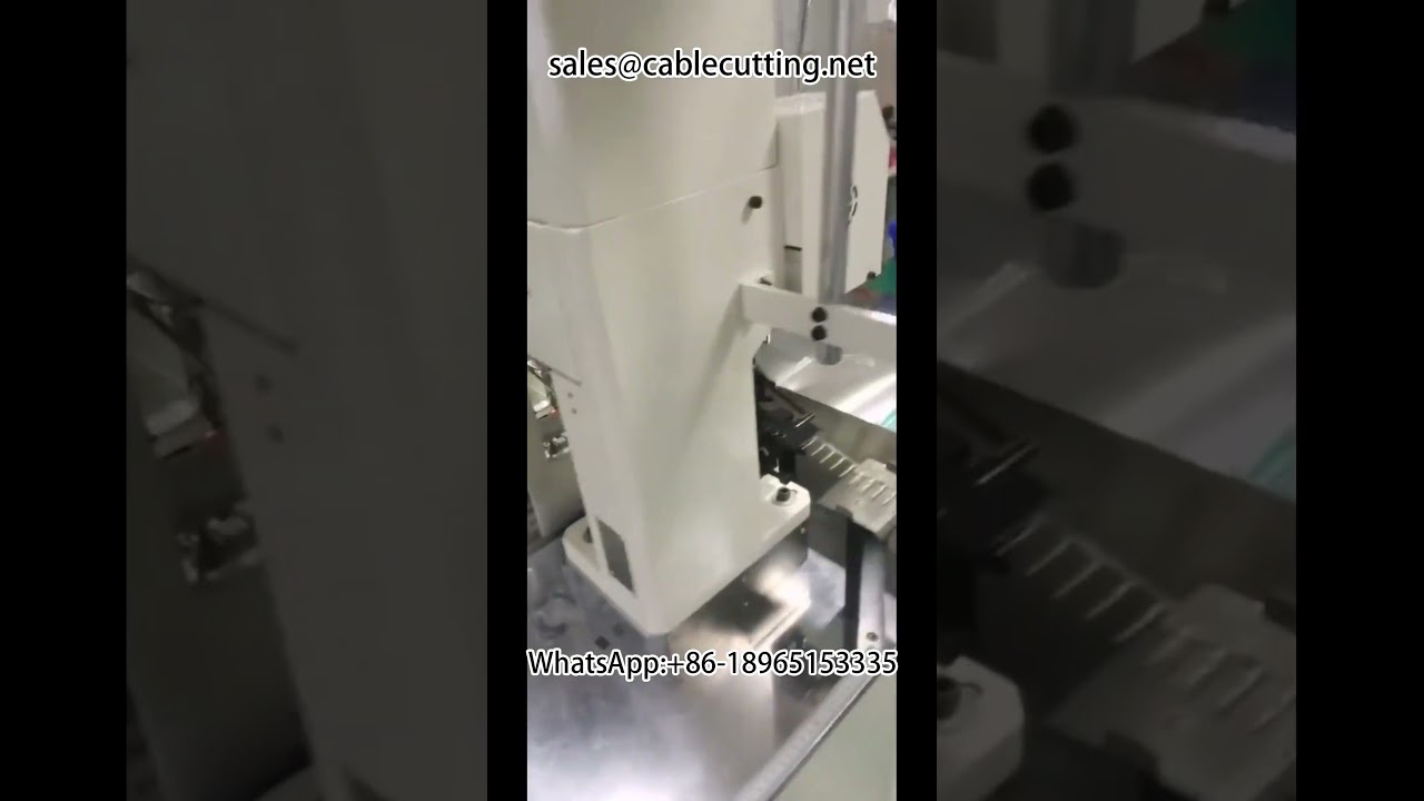 Macchina automatica a doppia testa per terminazione bulloni impermeabili | Attrezzature automazione cablaggi