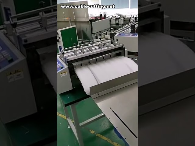 Macchina per taglio film termoretraibile PVC e taglio cinghie PP satinate - Soluzioni industriali