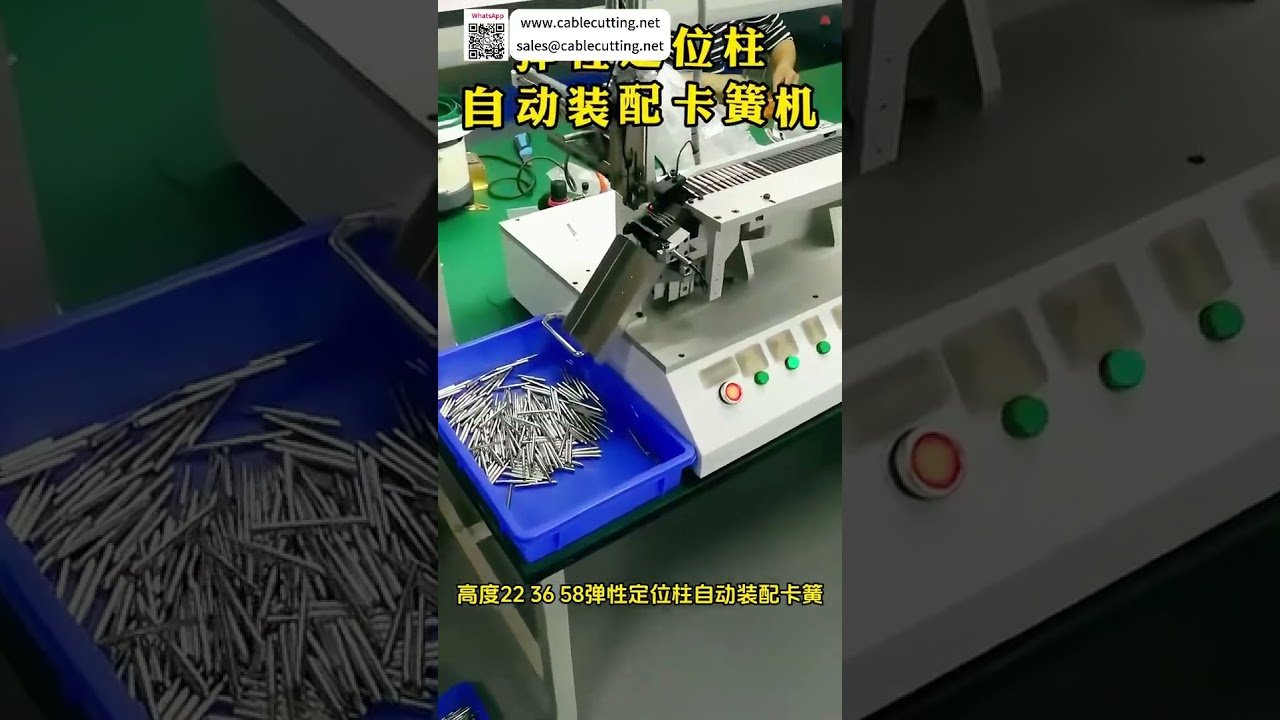 Macchina Automatica di Precisione per Perno di Posizionamento Elastico con Circlip - Produzione in Fabbrica