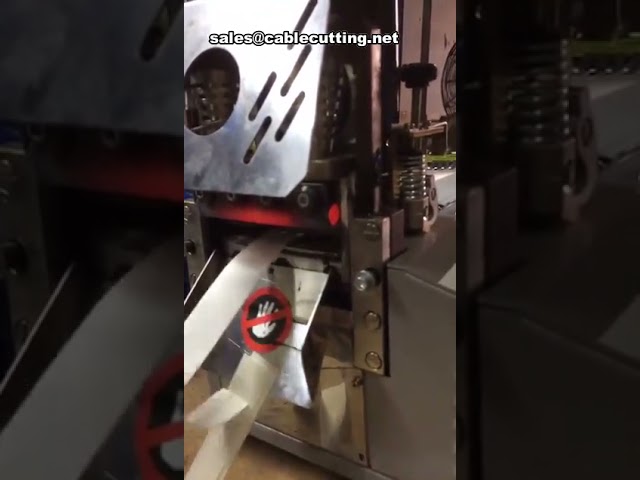 Macchina per taglio nastro adesivo elettrica pesante con lama caldo/freddo - Taglierina professionale