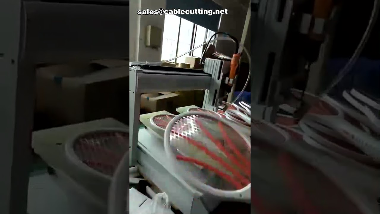 Macchina automatica per viti di bloccaggio | Vitatrice automatica | Efficiente e precisa